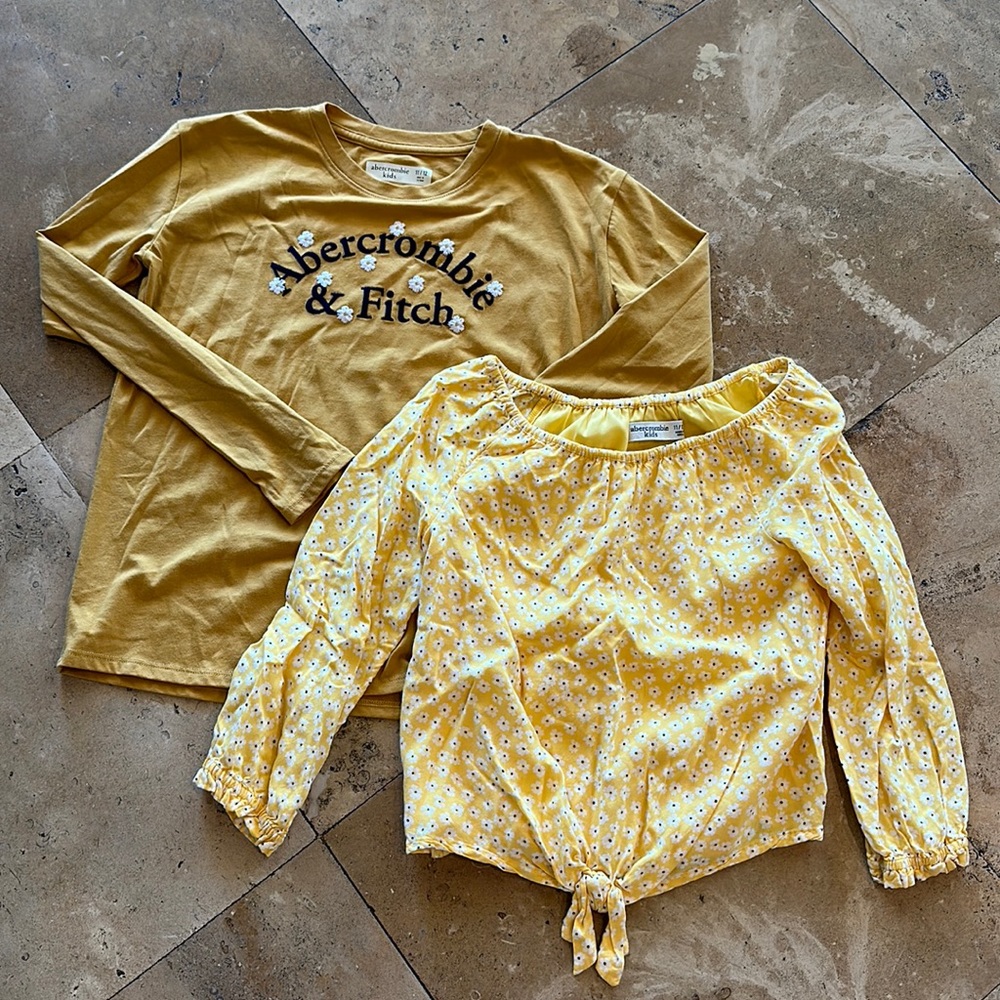 Abercrombie shorts 2 pack